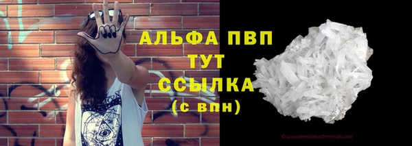 дмт Алексин